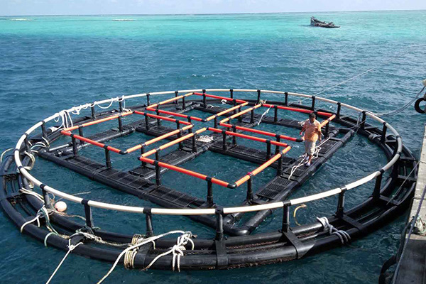 黄冈深海奇迹、水下牧场：探索深海养鱼网箱在水产养殖中的新可能